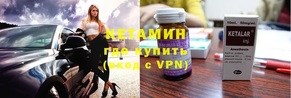 сатива Ельня