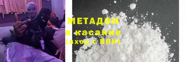 сатива Ельня
