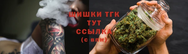 сатива Ельня