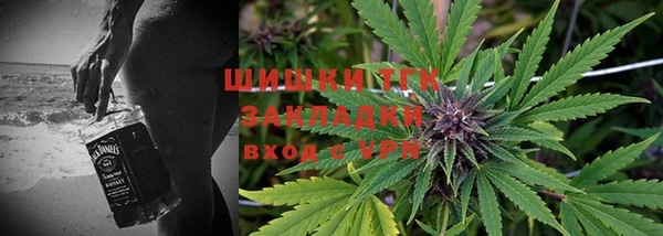 мяу мяу мука Елабуга